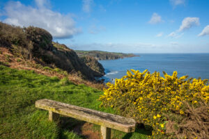 Bench on the South West Coast Path