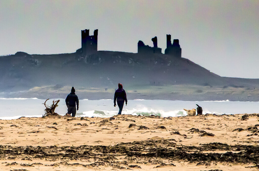 Dunstanburgh Castle from Embleton beach on the Northumberland Coast Path